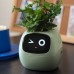 Умный горшок для комнатных растений. Masdio Ivy 7